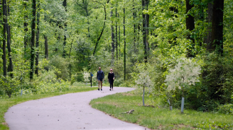 Two people walking on a greenway surrounded by trees