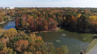 Aerial shot of Park Road Park