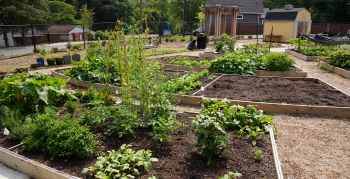 A community garden at Druid Hills Park