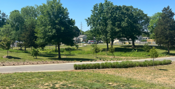 A walking trail at Druid Hills Park on a sunny day