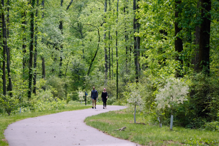 Two people walking on a greenway surrounded by trees