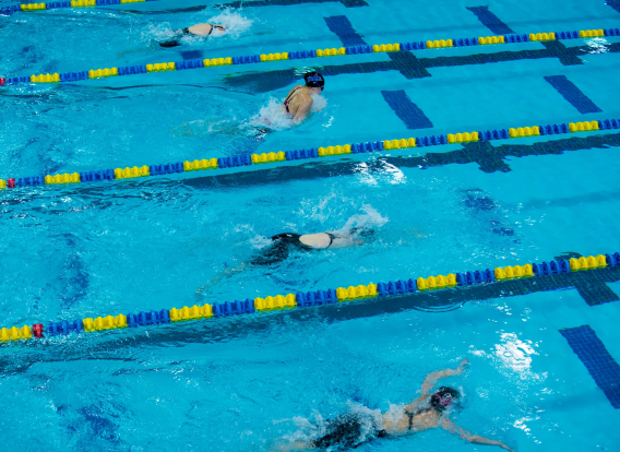 Swimmers in indoor pool