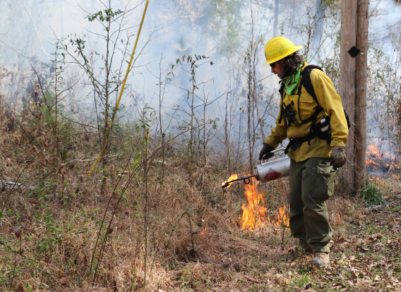 Prescribed Fire Staff participate in a controlled burn at Reedy Creek Nature Preserve.