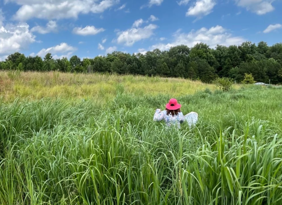 A master naturalist walking through a nature preserve