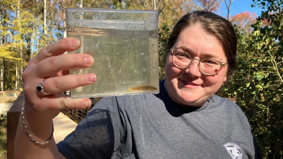 A participant in the Central Carolinas Master Naturalist program studies a fish