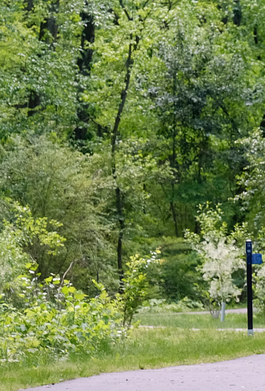 Two people walking on a greenway surrounded by trees